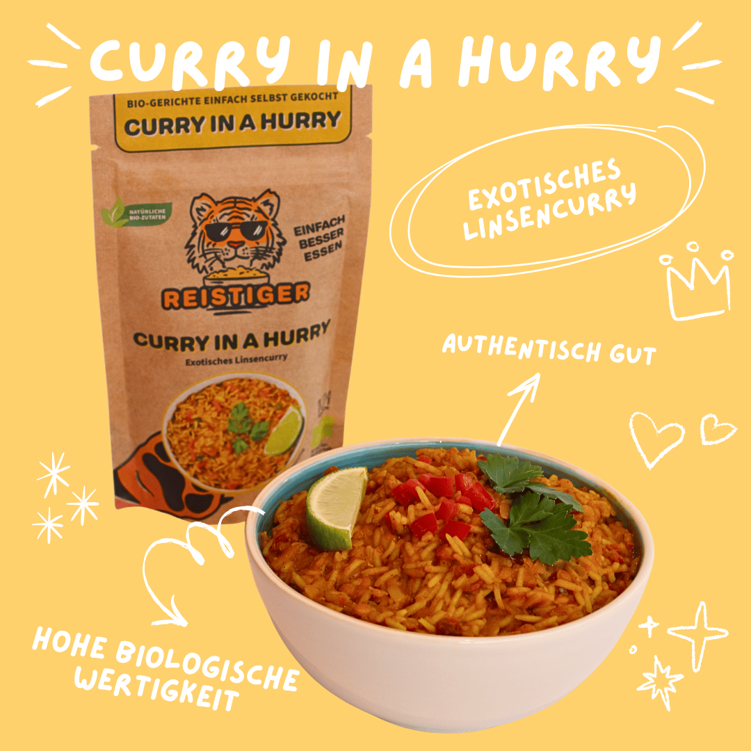 CURRY IN A HURRY 6er Pack